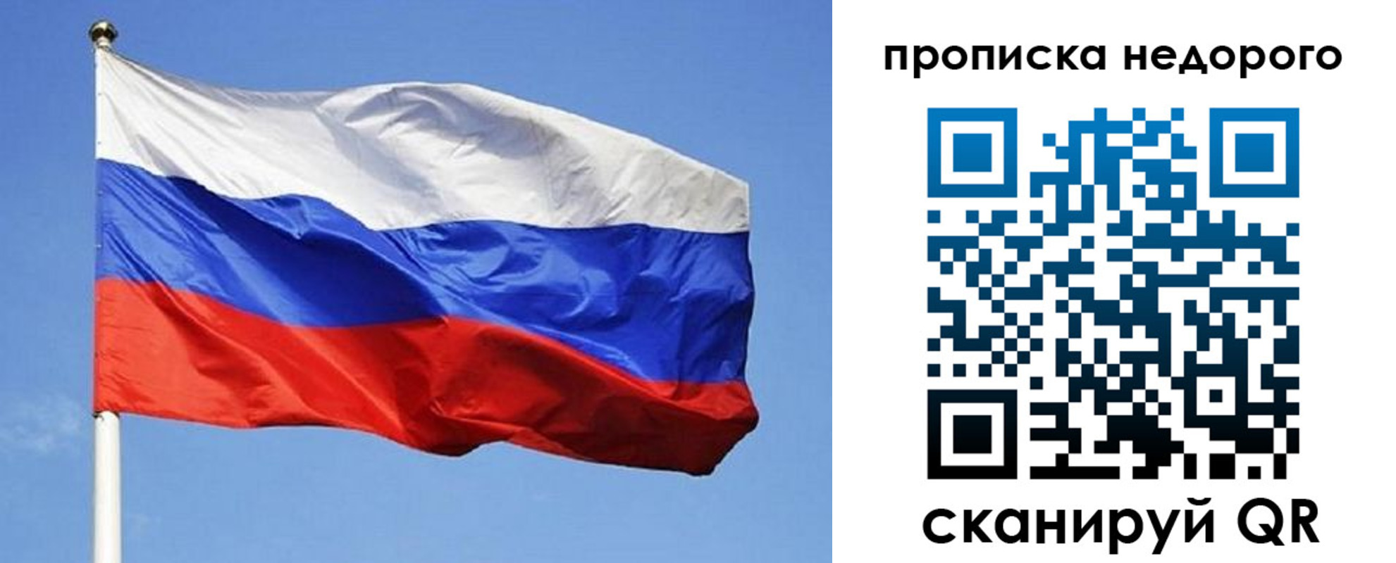 прописка для школы в Шебекино